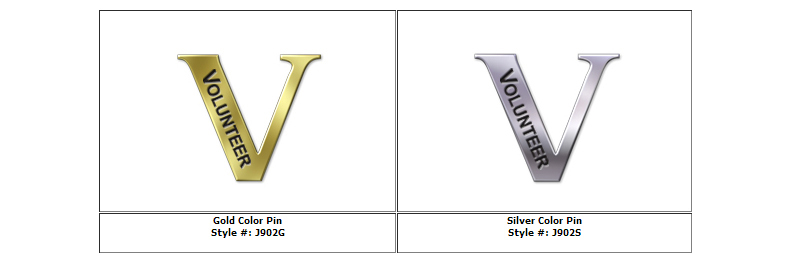 Unisex "V" Silver Pin